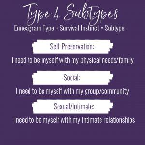 Type Four Subtypes .